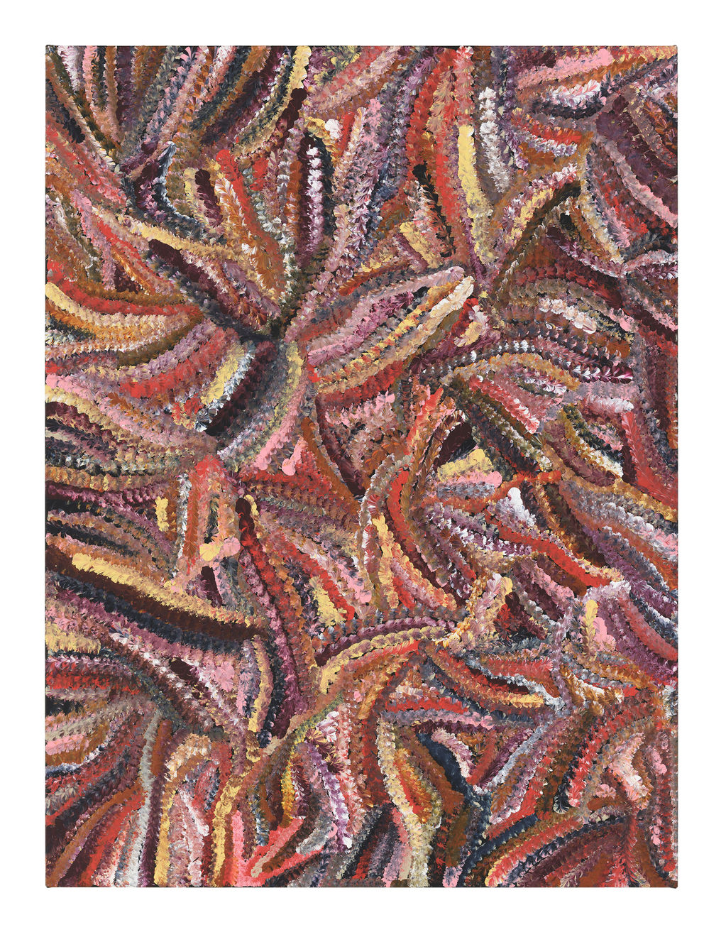 Jedda Kngwarray Purvis, Atnwelarr, 2025