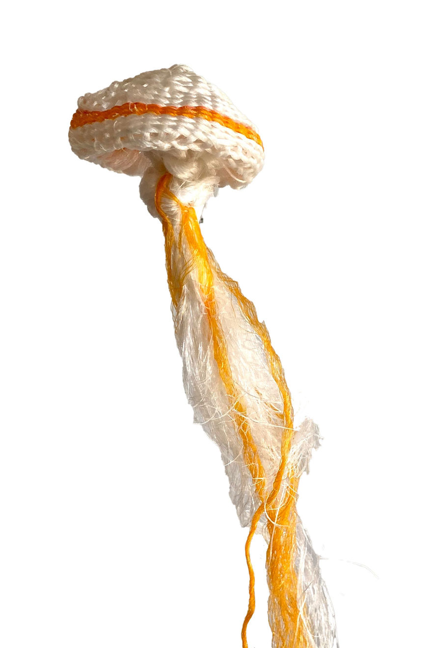 Lavinia Ketchell, Mali, 2020