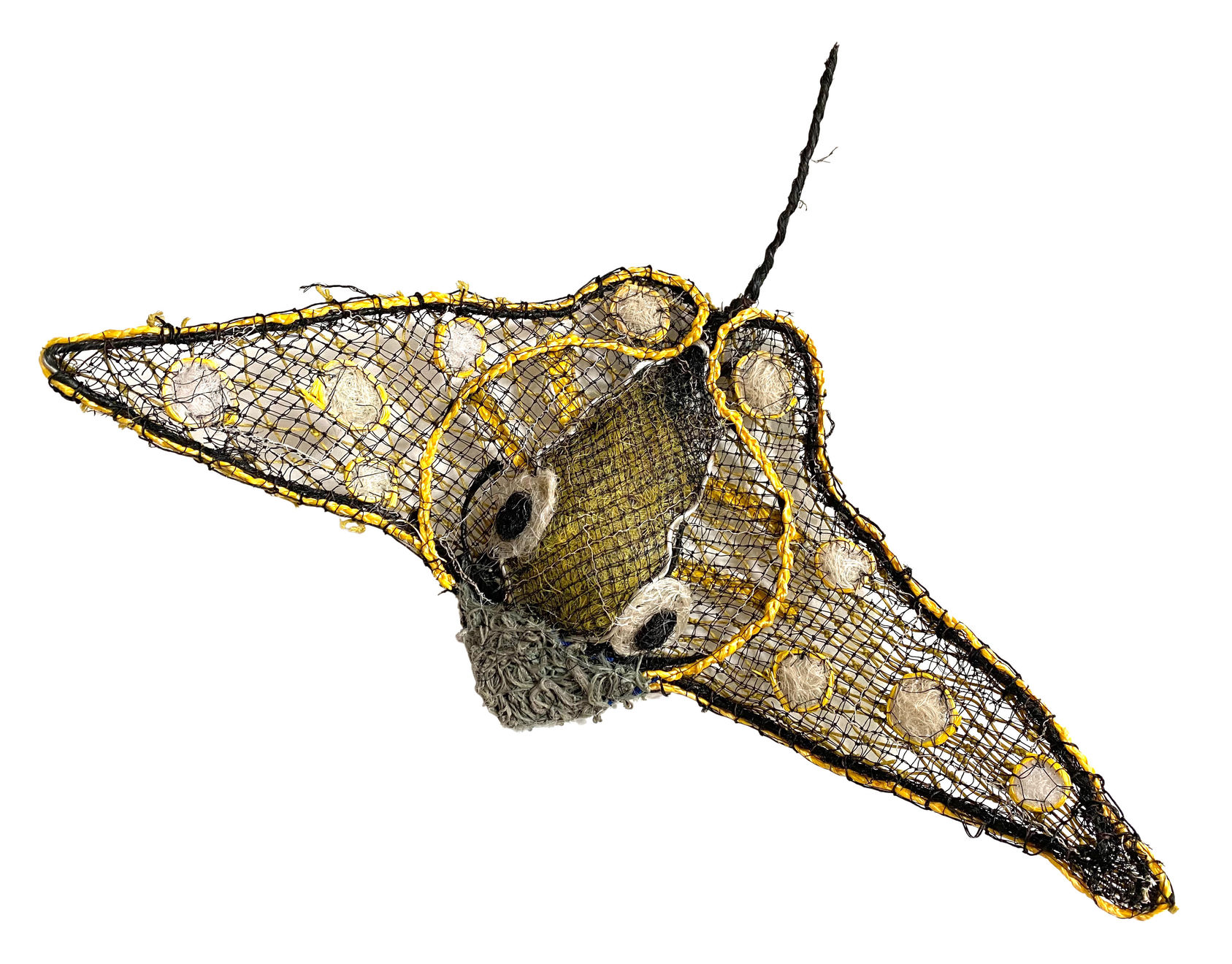 Jimmy John Thaiday, Raydon, 2022