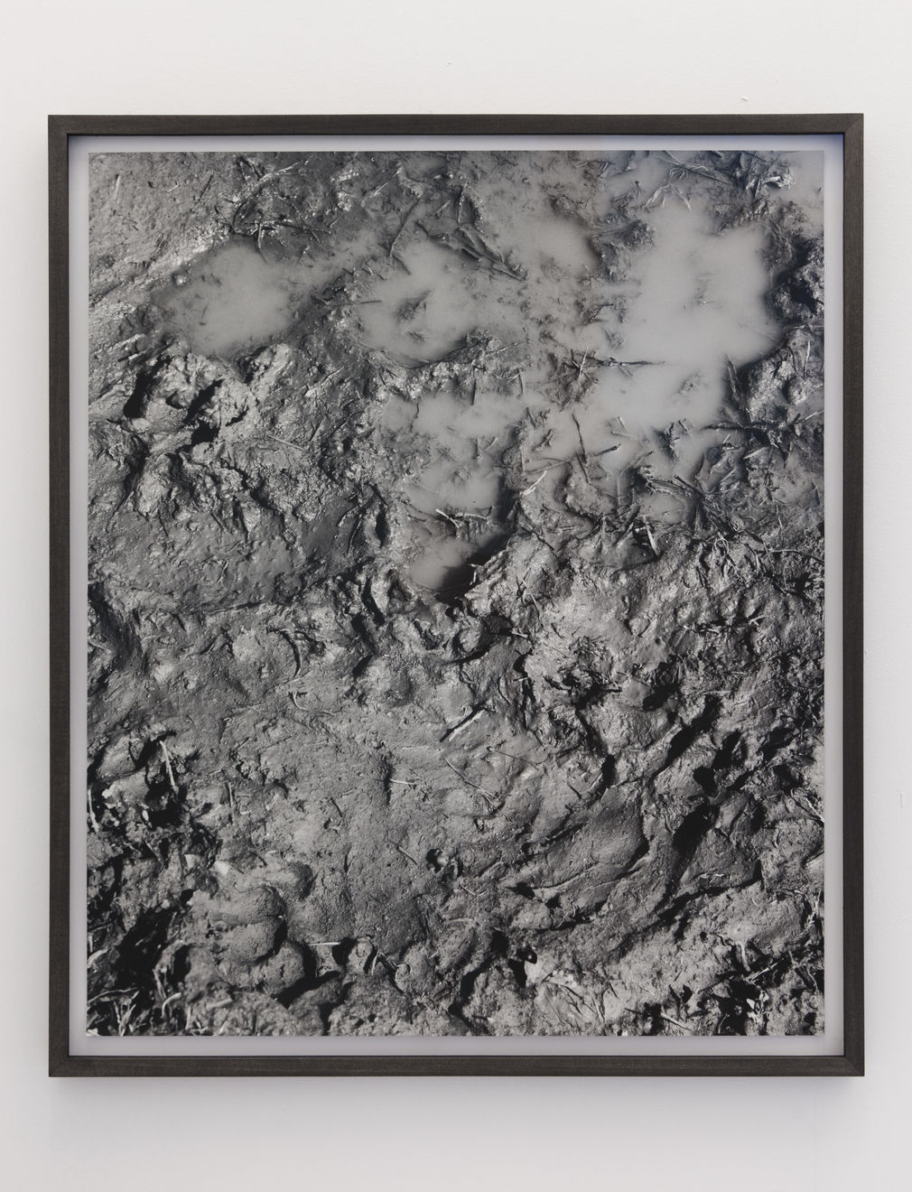 Talia Chetrit, Mud, 2011