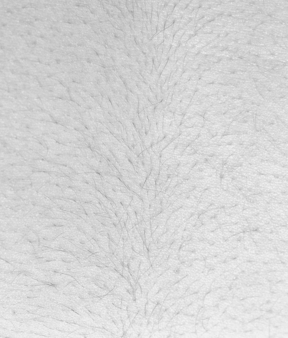 Talia Chetrit, Hair, 2012