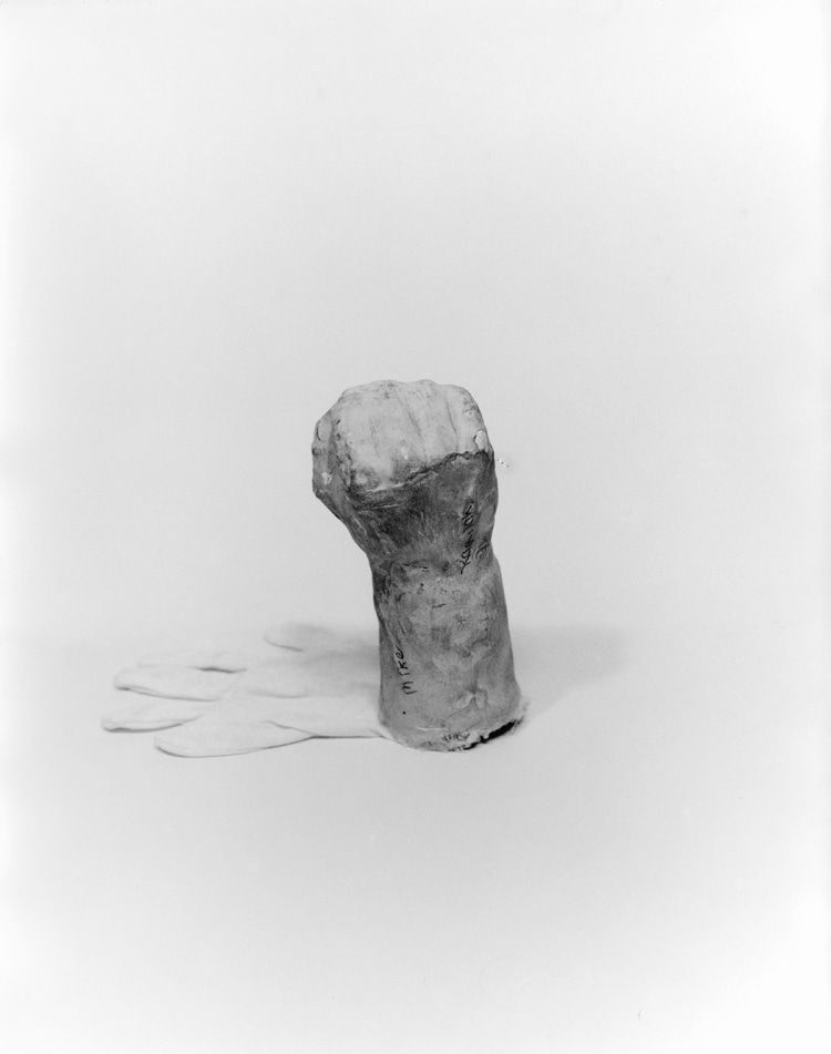 Talia Chetrit, Fist/Glove, 2009