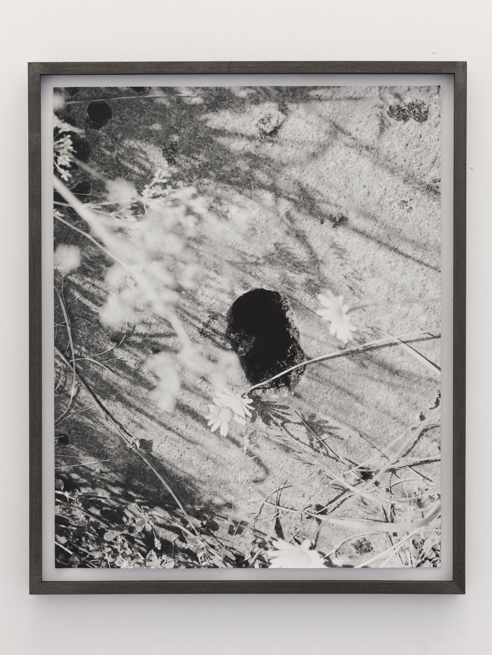 Talia Chetrit, Flowers/Hole, 2011
