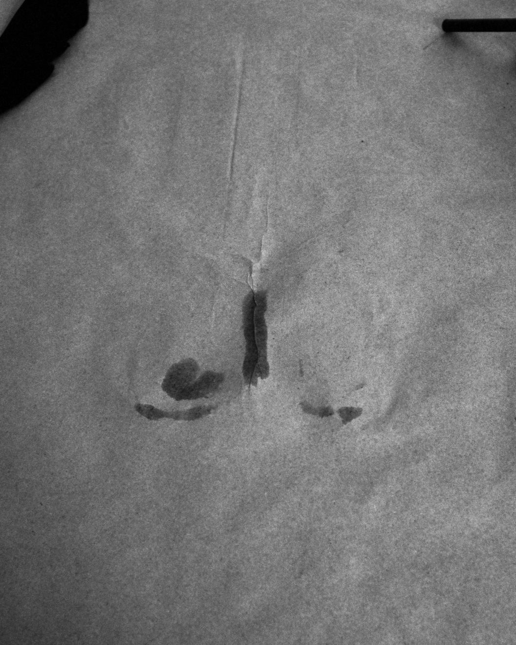 Talia Chetrit, Imprint (from Hand on Body), 2011