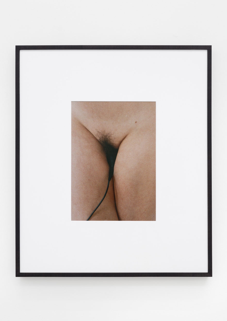 Talia Chetrit, Cable Release, 2016