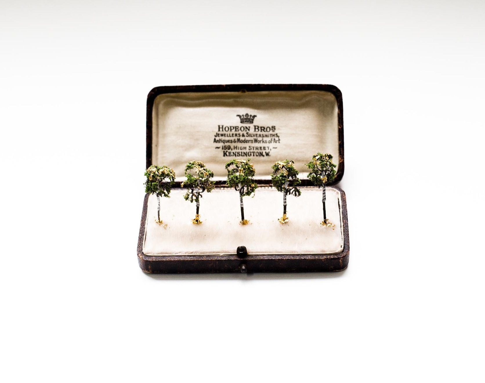 Tete de Alencar, Kensington Gardens, 2014