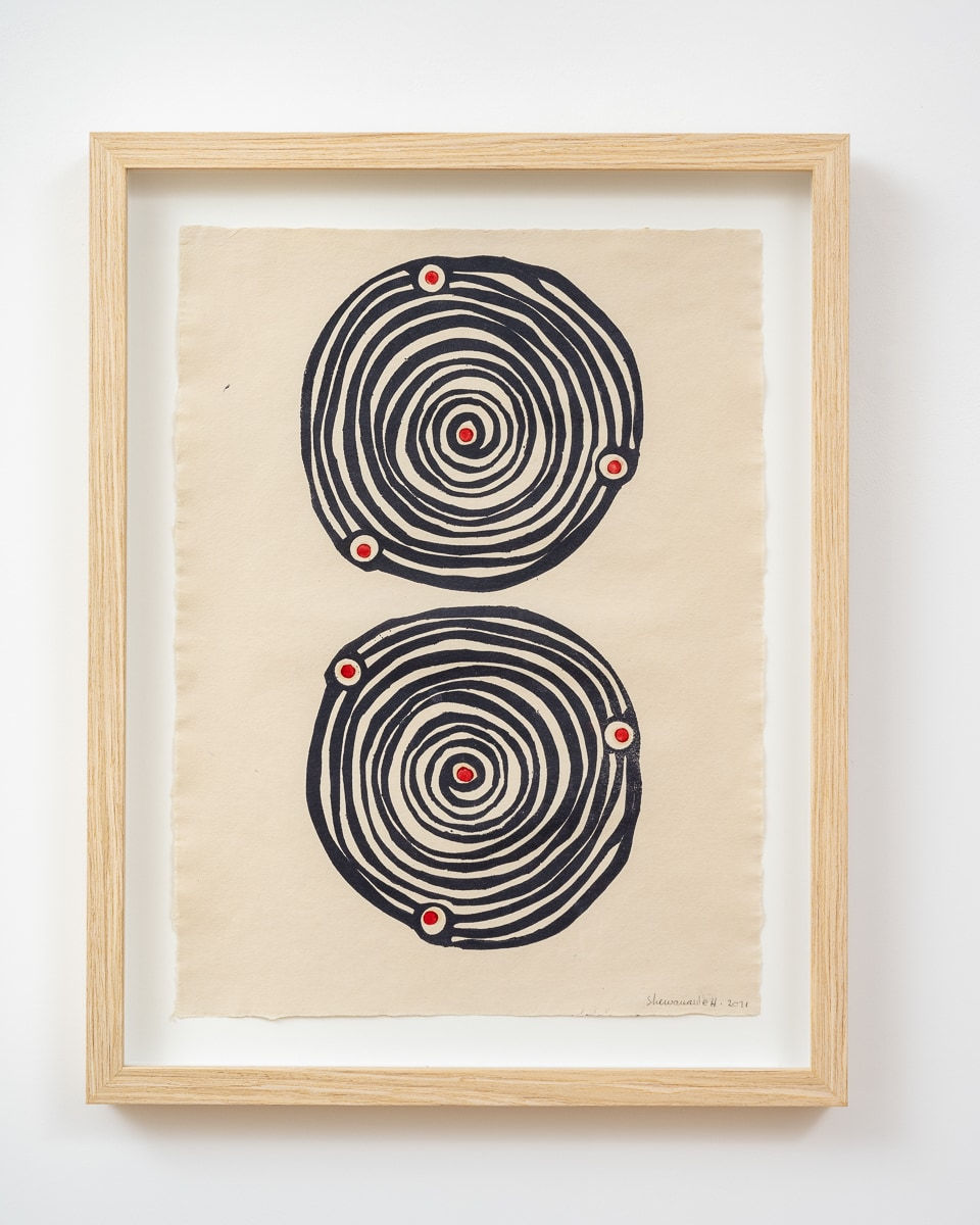 Sheroanawe Hakihiiwe, Hetu Misi Misiri (Sky that announce illness), 2021