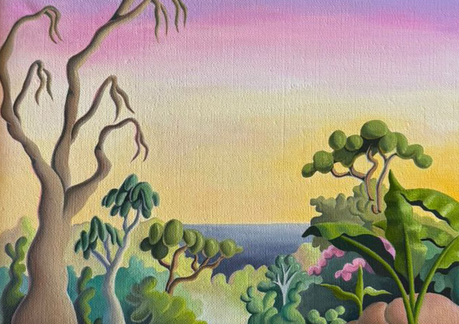 Daisy Dodd-Noble, Costa Rica forest study, 2024