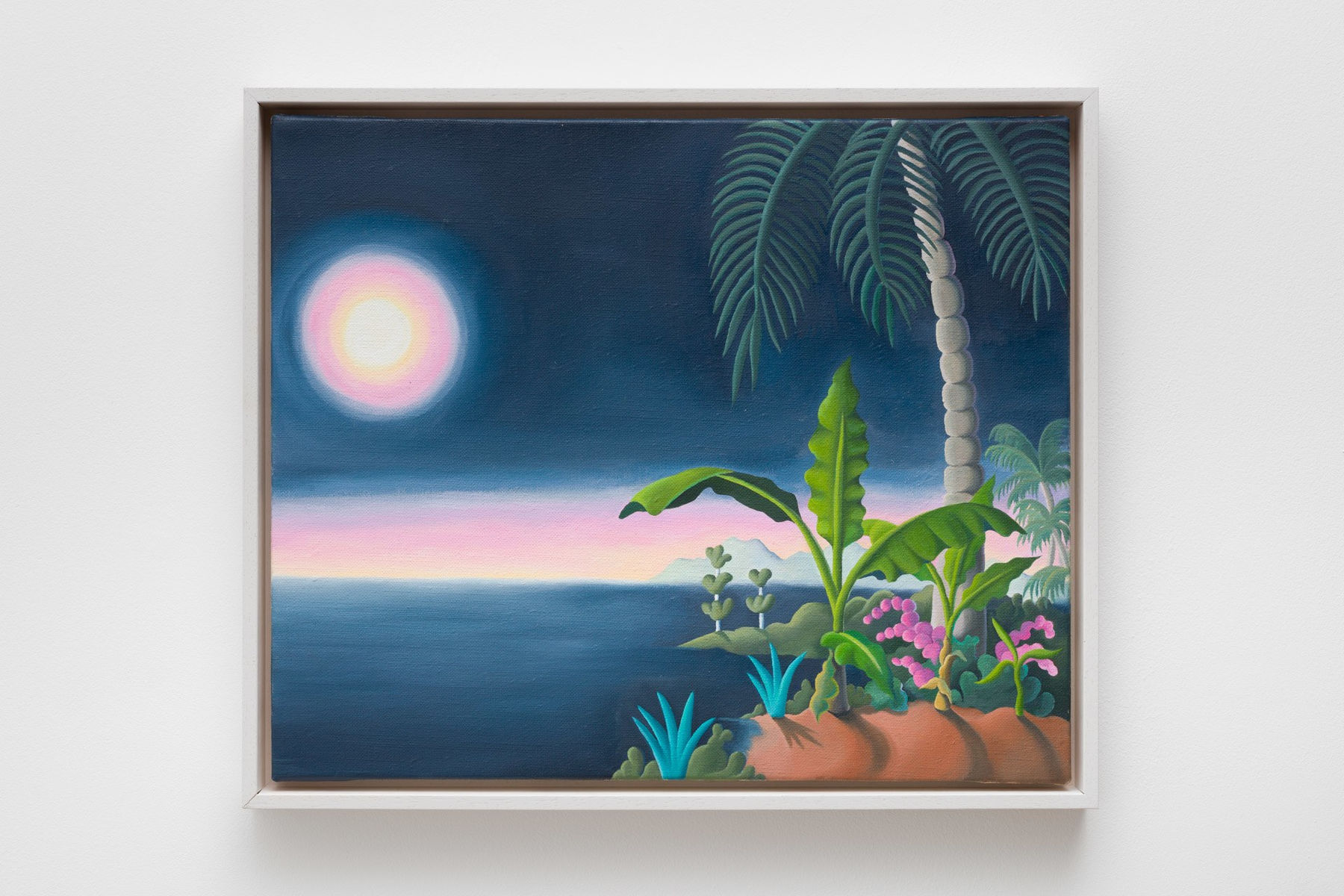Daisy Dodd-Noble, Costa Rica Moonlight , 2024