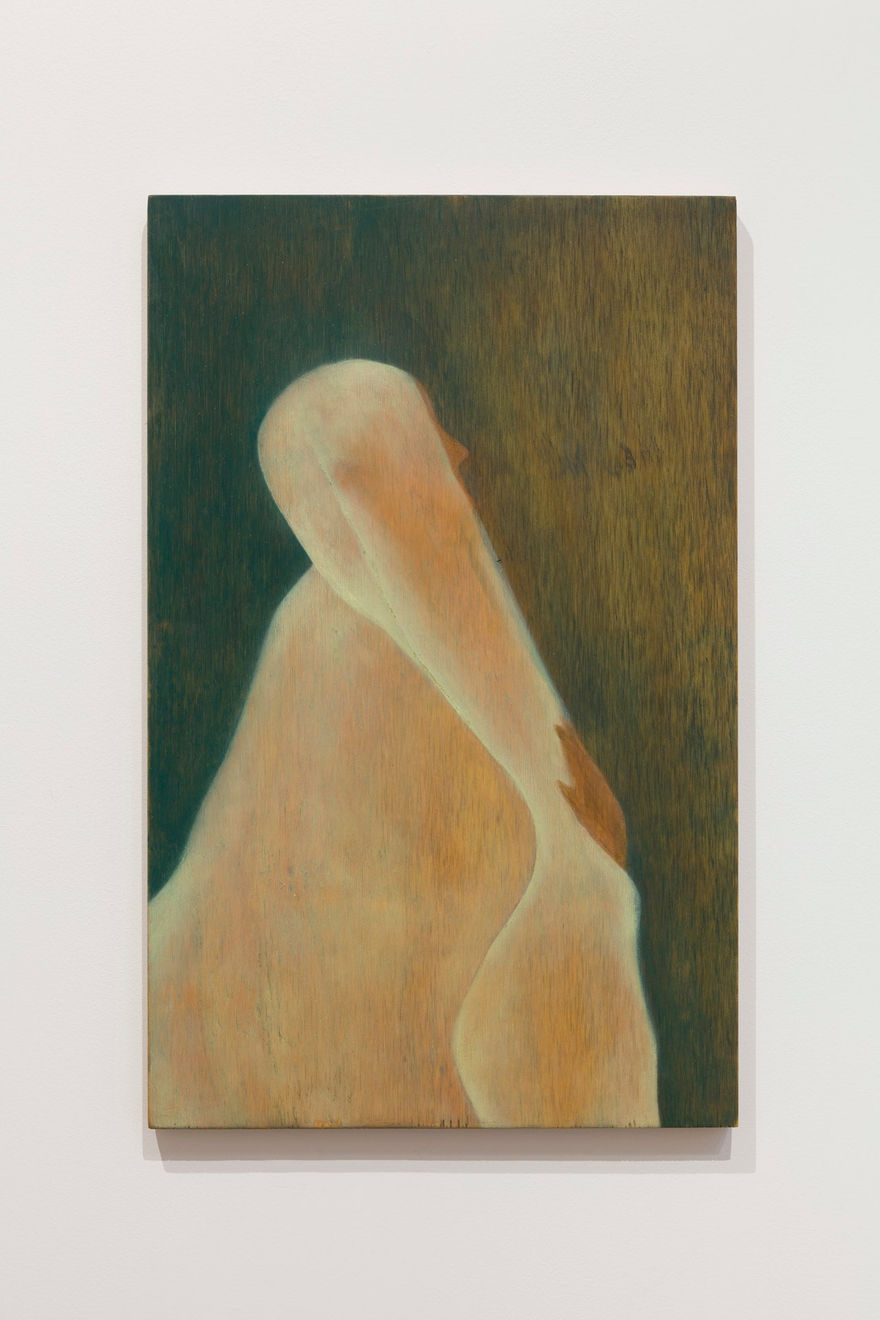 Fiza Ghauri, Gather, 2023