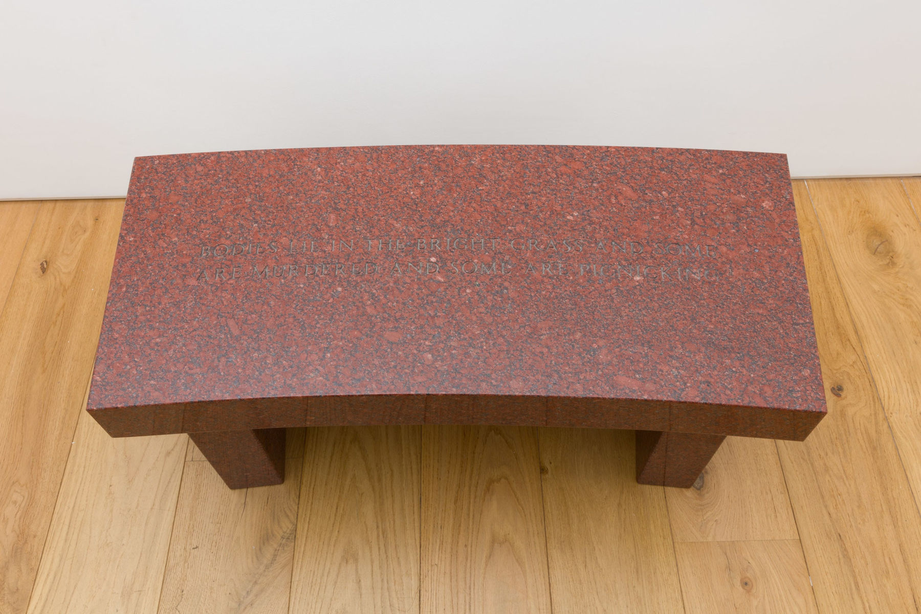 Jenny Holzer, Survival: Bodies lie in the bright grass..., 1989