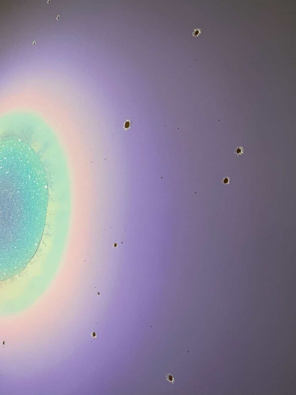 Lauren Baker, Astral Nebula, Unique, 2023