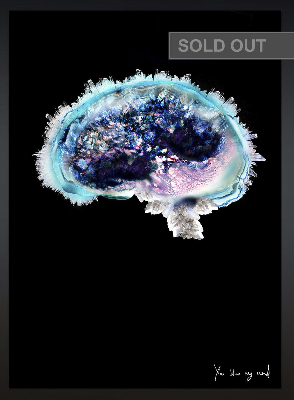 Lauren Baker, Crystal Brain (with diamond dust), 2015