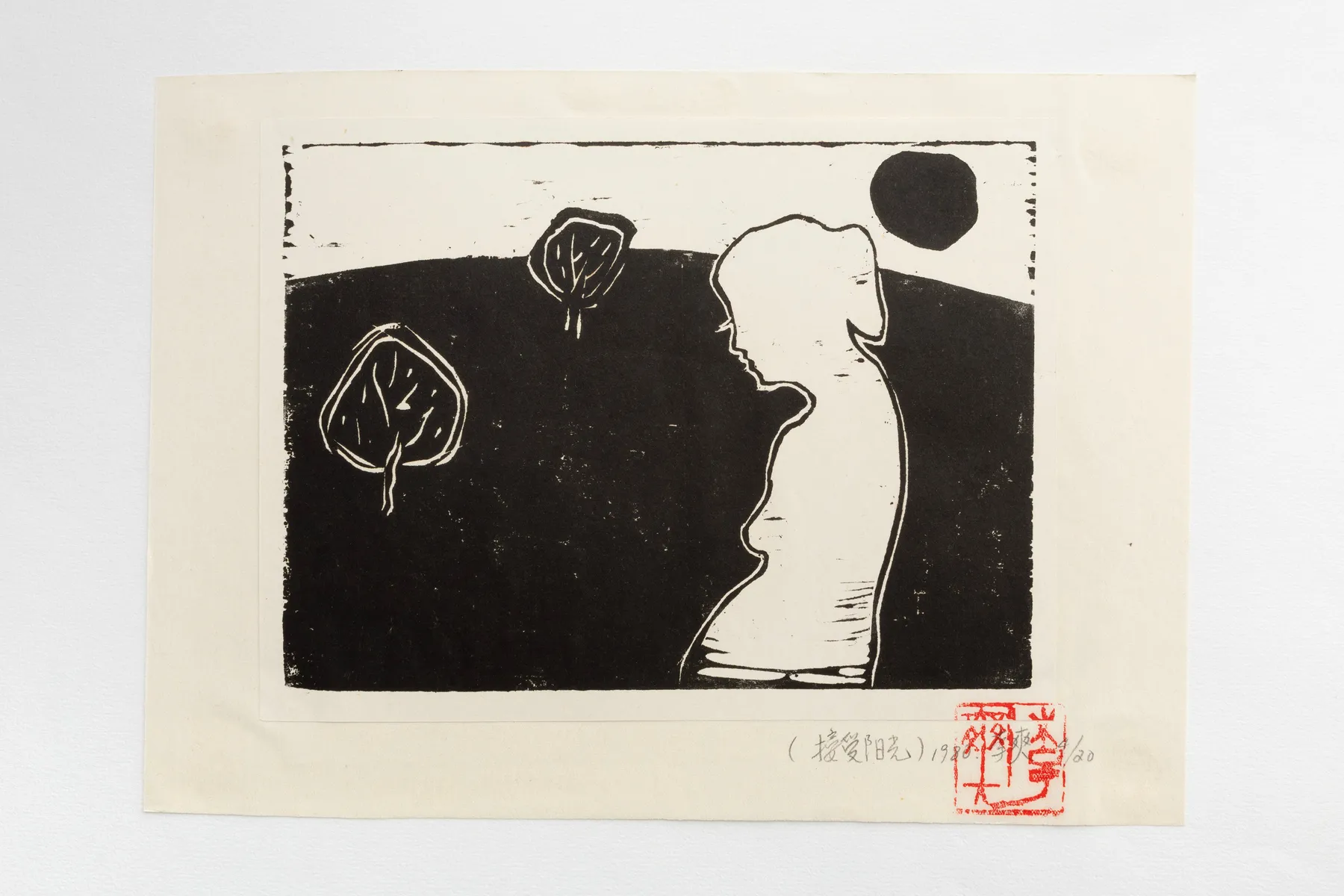 Li Shuang, Accepter le soleil, 1980