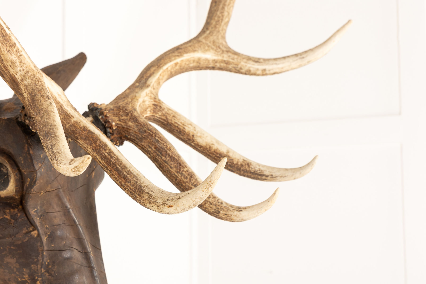 Large Scale 19th Century Carved Wood Stag’s Head