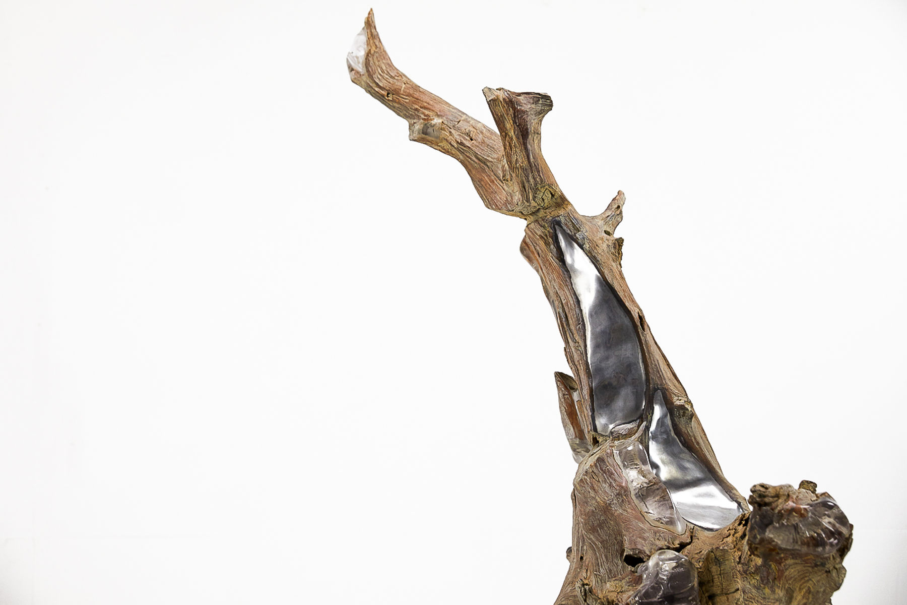 Huge 1970s Driftwood Tree Sculpture