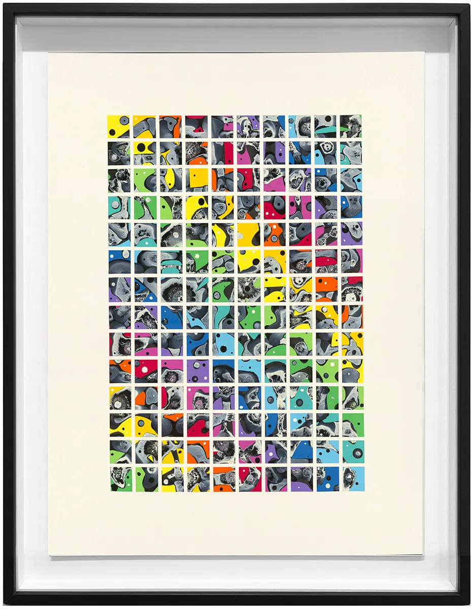 Sowat, Nandrolone, 2022