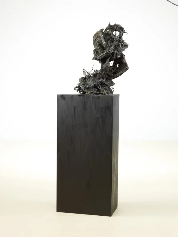 Karl Karner, 42 cm x 42 aus Samtkasten, 2013