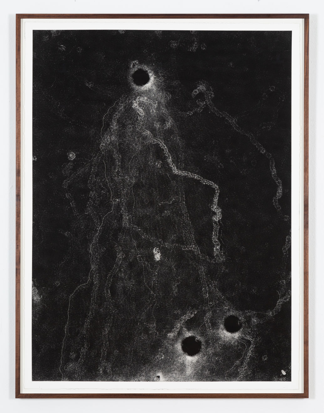 Maximilian Prüfer, Blattschneiderameisen (groß), 2021