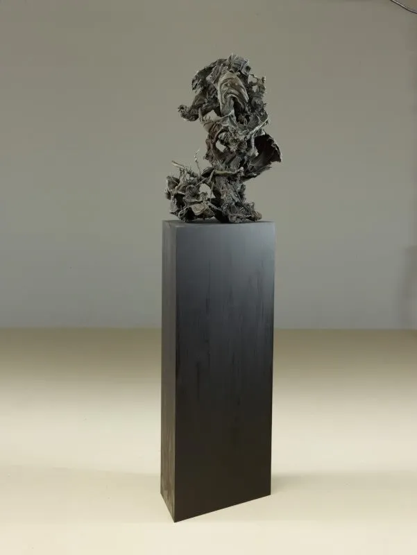 Karl Karner, 42 cm x 42 aus Samtkasten, 2013