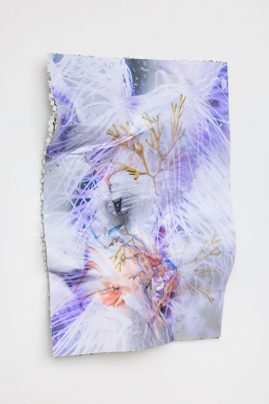 Estrid Lutz, Collapse 0000006, 2023