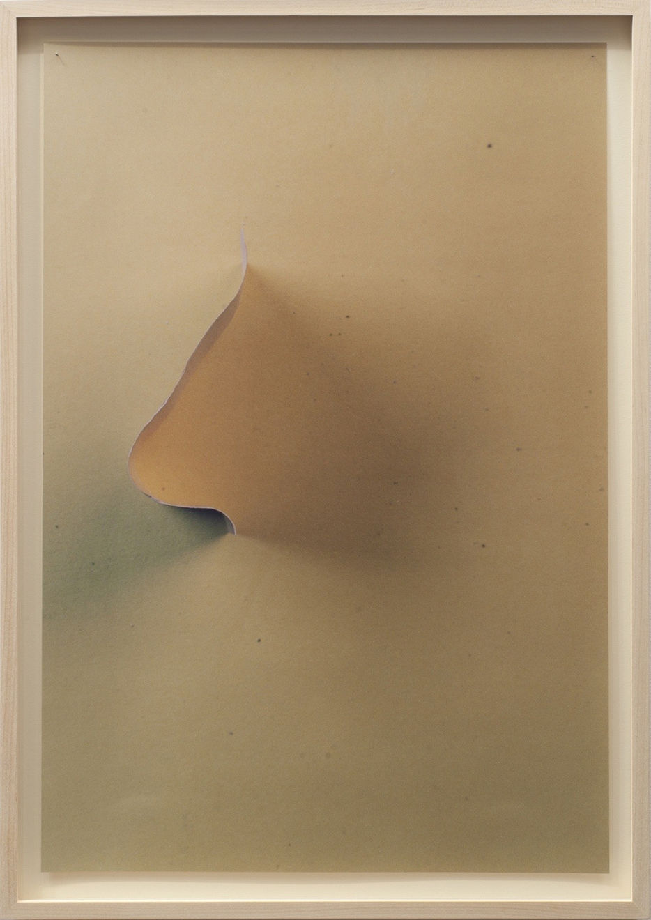Athanasios Argianas, N. (If Someone Makes A Sound, And Its Waveform is Identical To The Profile Of Their Nose Then...), 2014