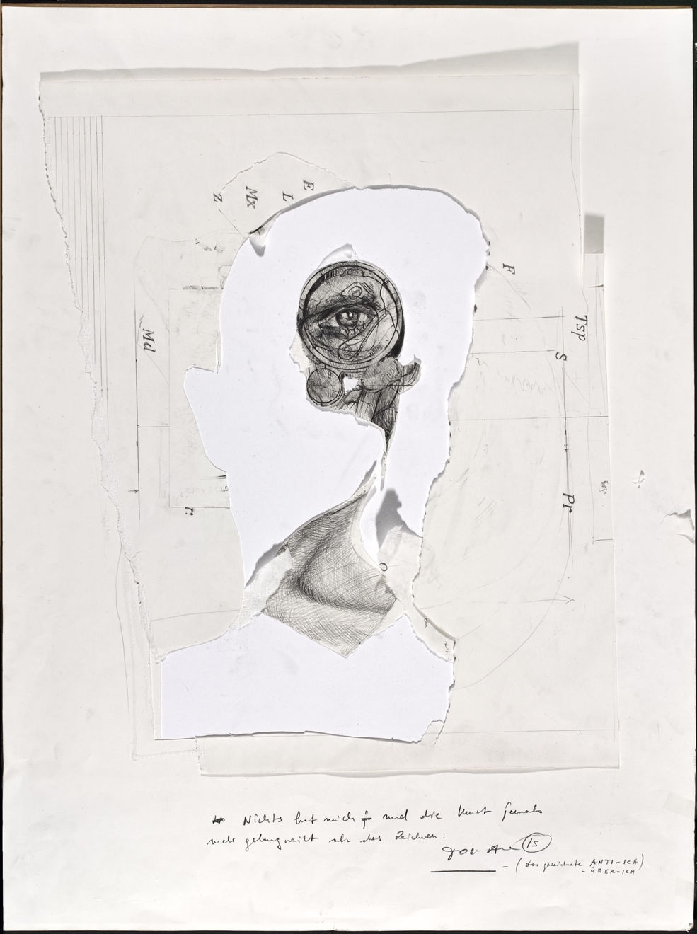 TOMAK, Das gezeichnete Anti-Ich, 2015