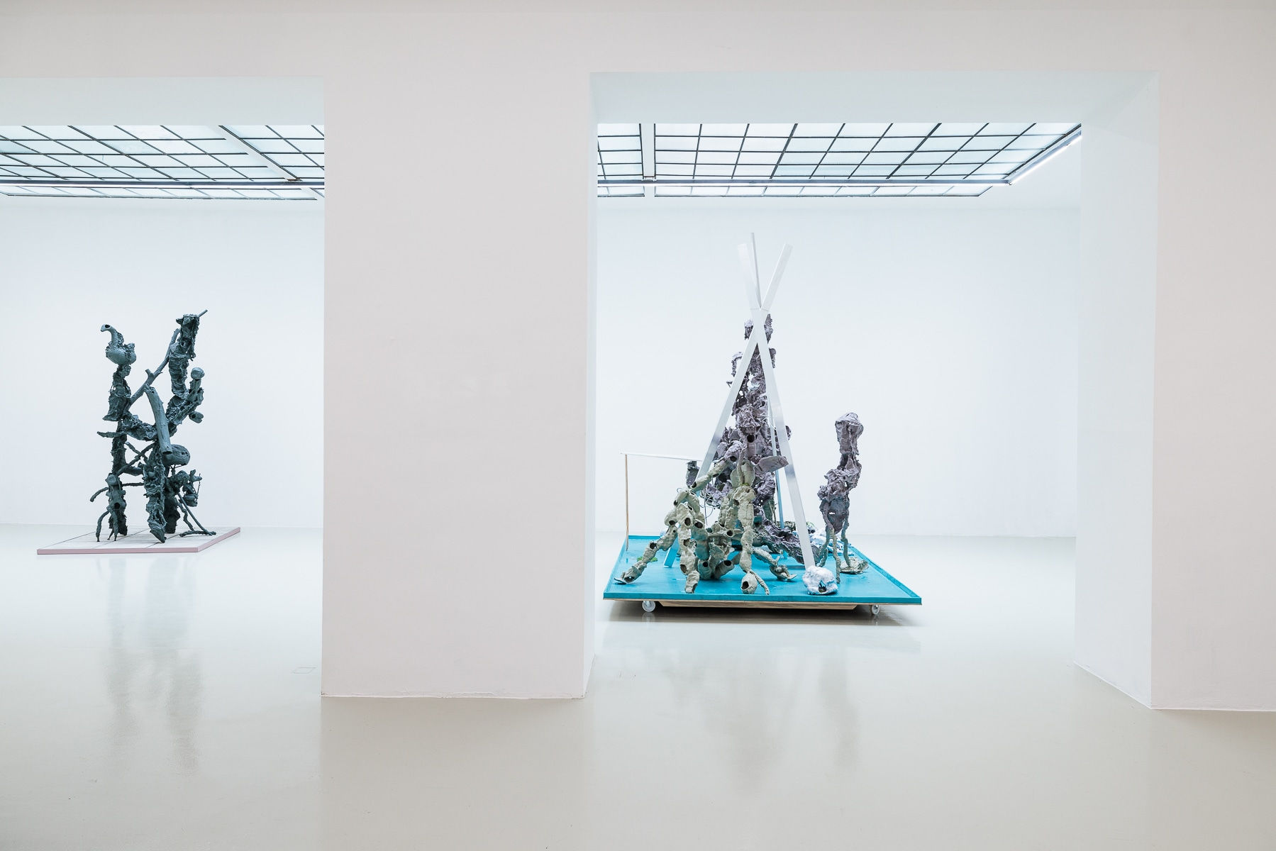 Karl Karner, Installation View: fichtengrau, 2024