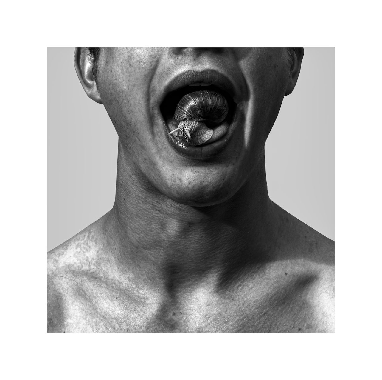 Maximilian Prüfer, Zungenkuss, 2015