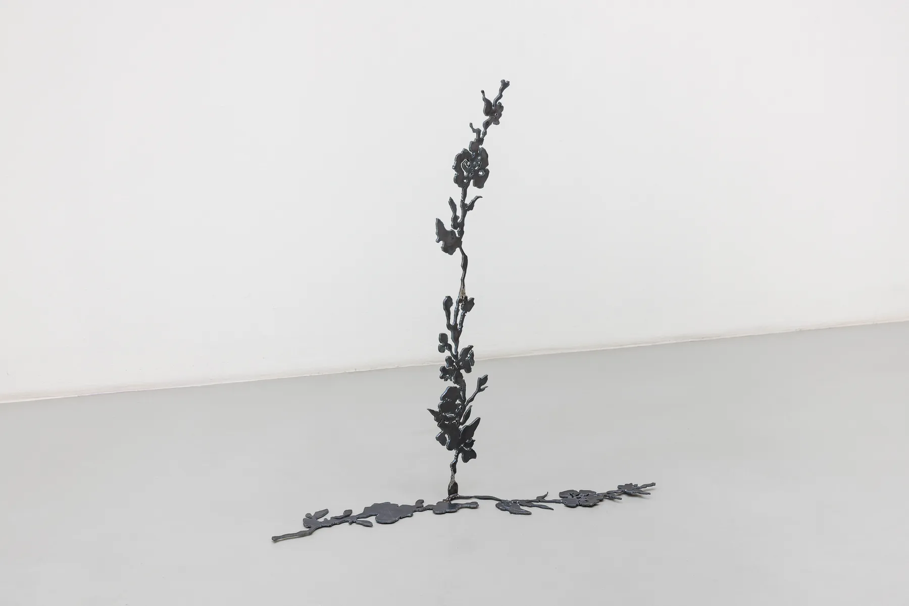 So Young Park, Bloom of a Vanishing Dream (虛夢之花), 2025