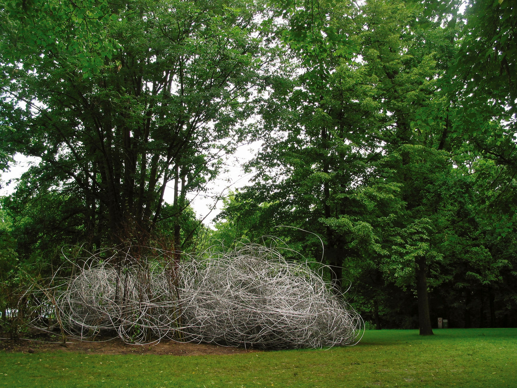 Michael Kienzer, Parasites, 2005-7