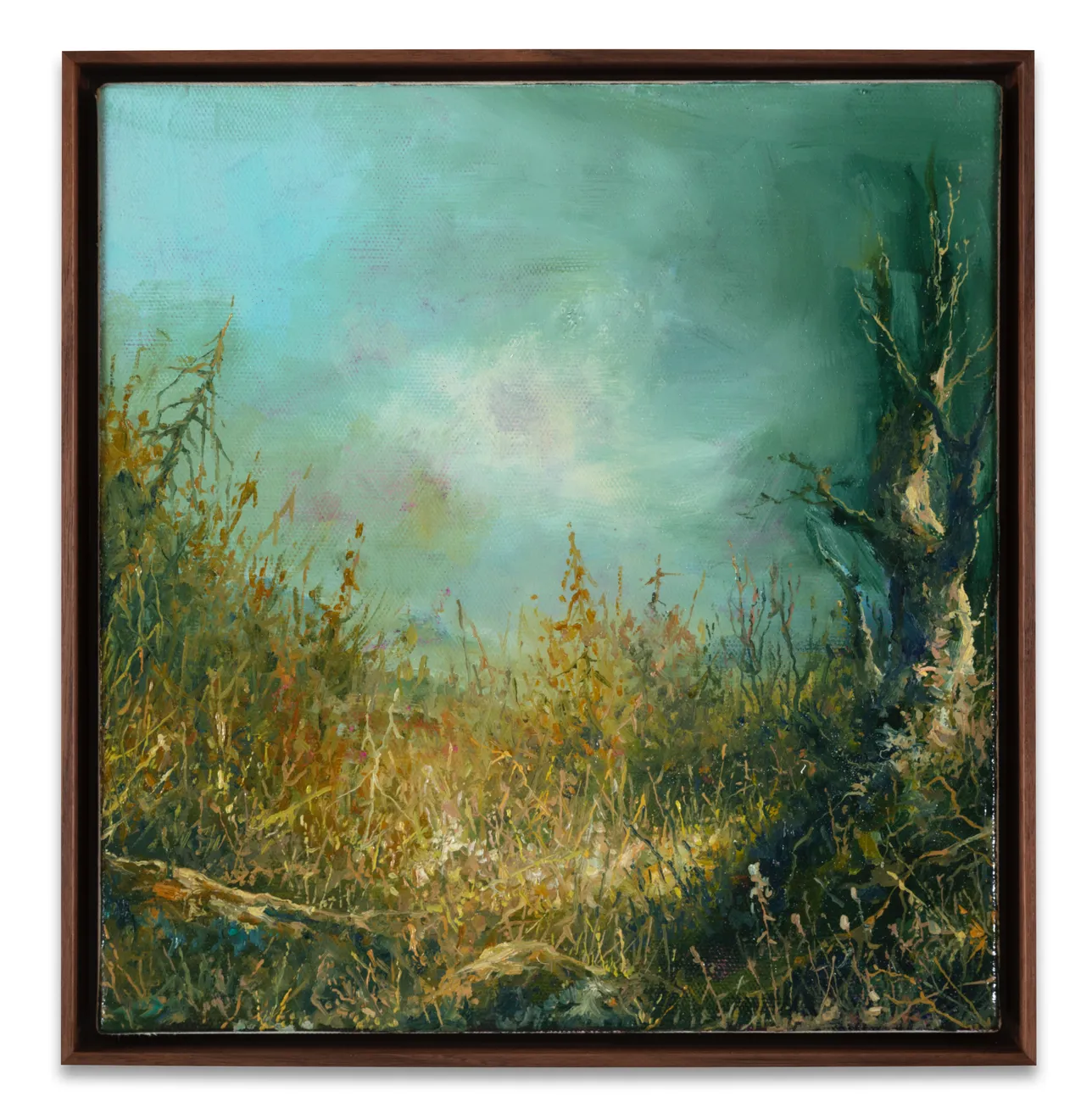 Petri Ala-Maunus, Halo, 2020