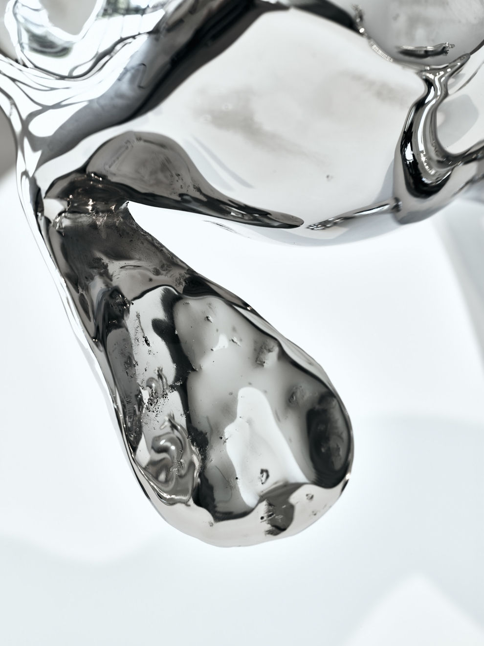 Kimmo & Noora Schroderus, Dachshund #2, 2020