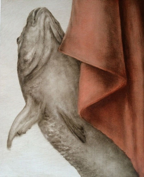 Kate Javens, The Animals I Sleep With, the Fish, 2015