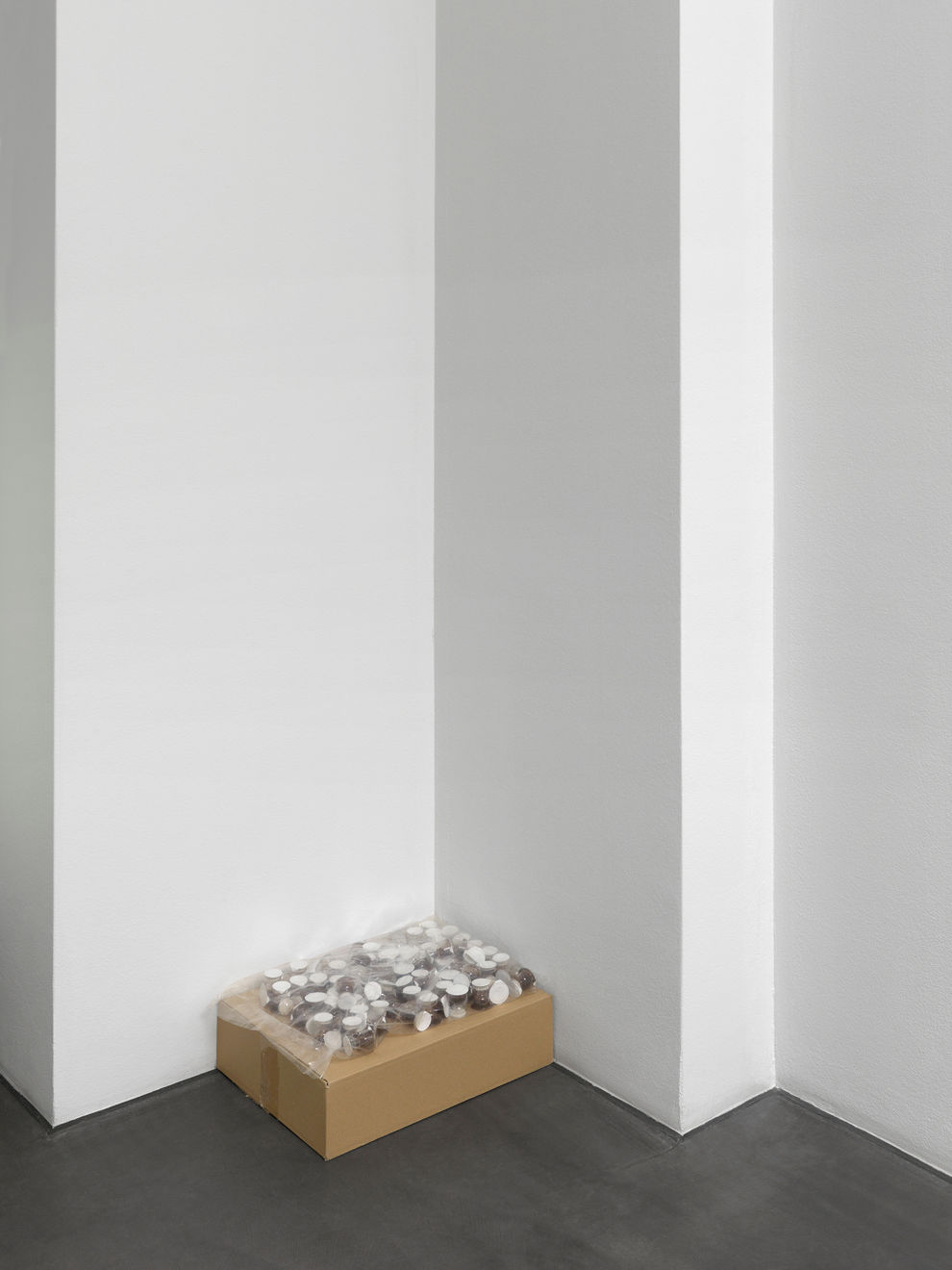 Mitchell Anderson, Expiration piece, 2023