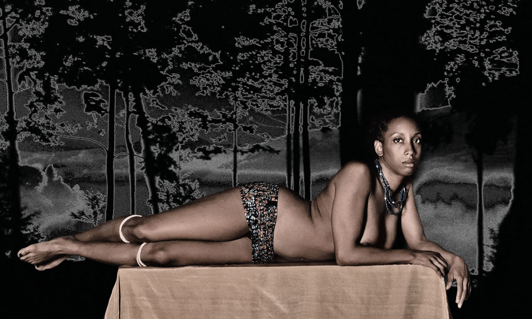 Ayana V. Jackson, What will you tell them about me? / Do you feel pain? , 2013