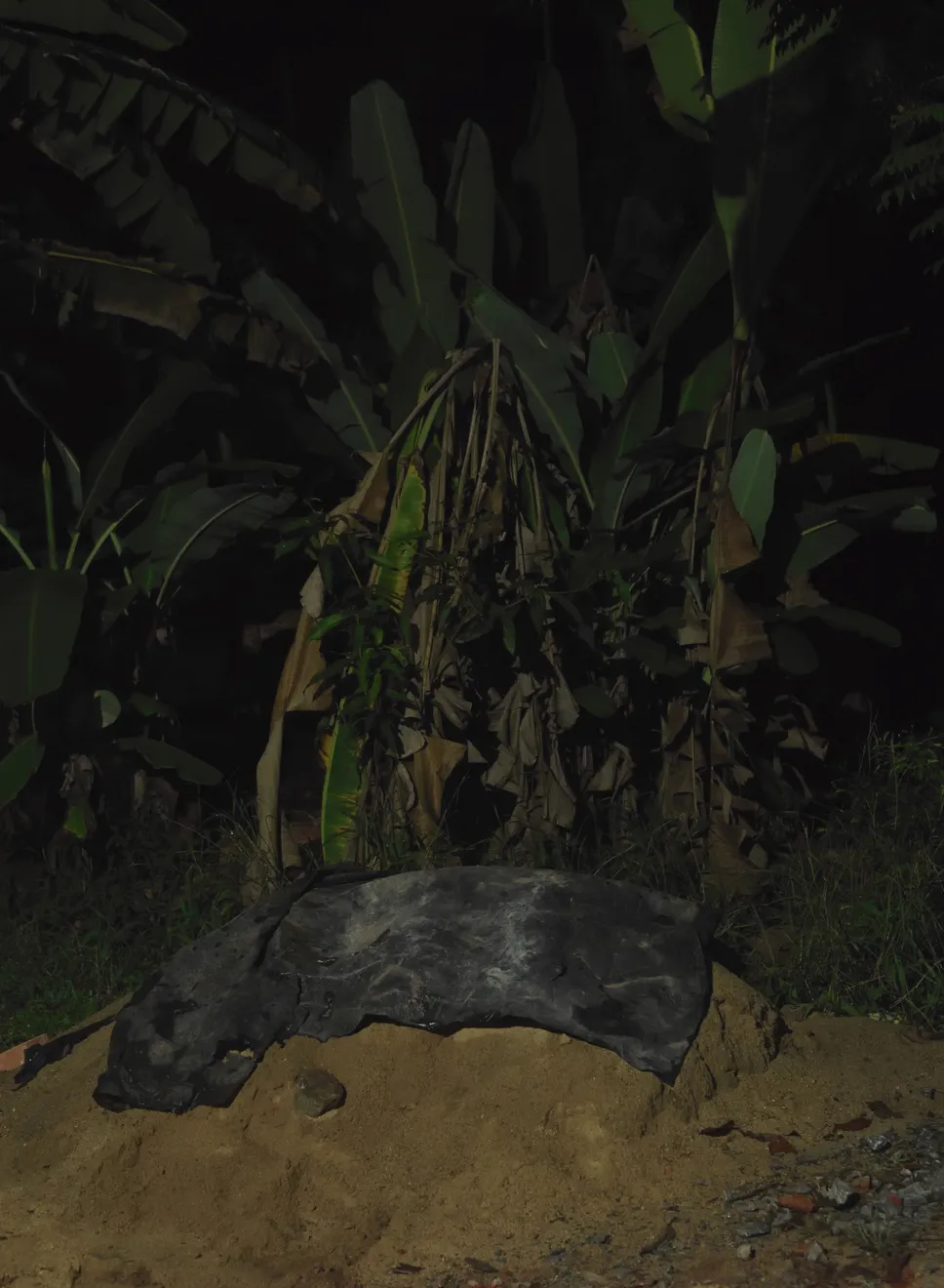 Sofie Knijff, Andurata, Sri Lanka, 2016