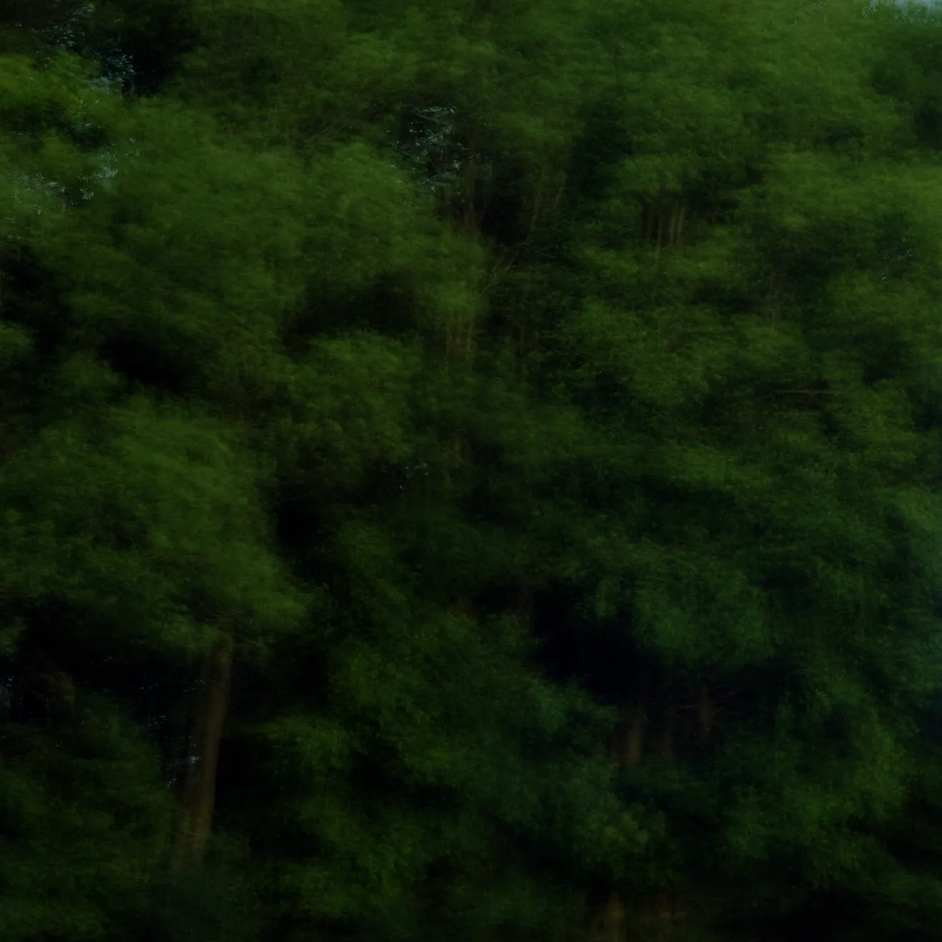 Mustapha Azeroual, Radiance #1, Untitled, V1-1, 2012