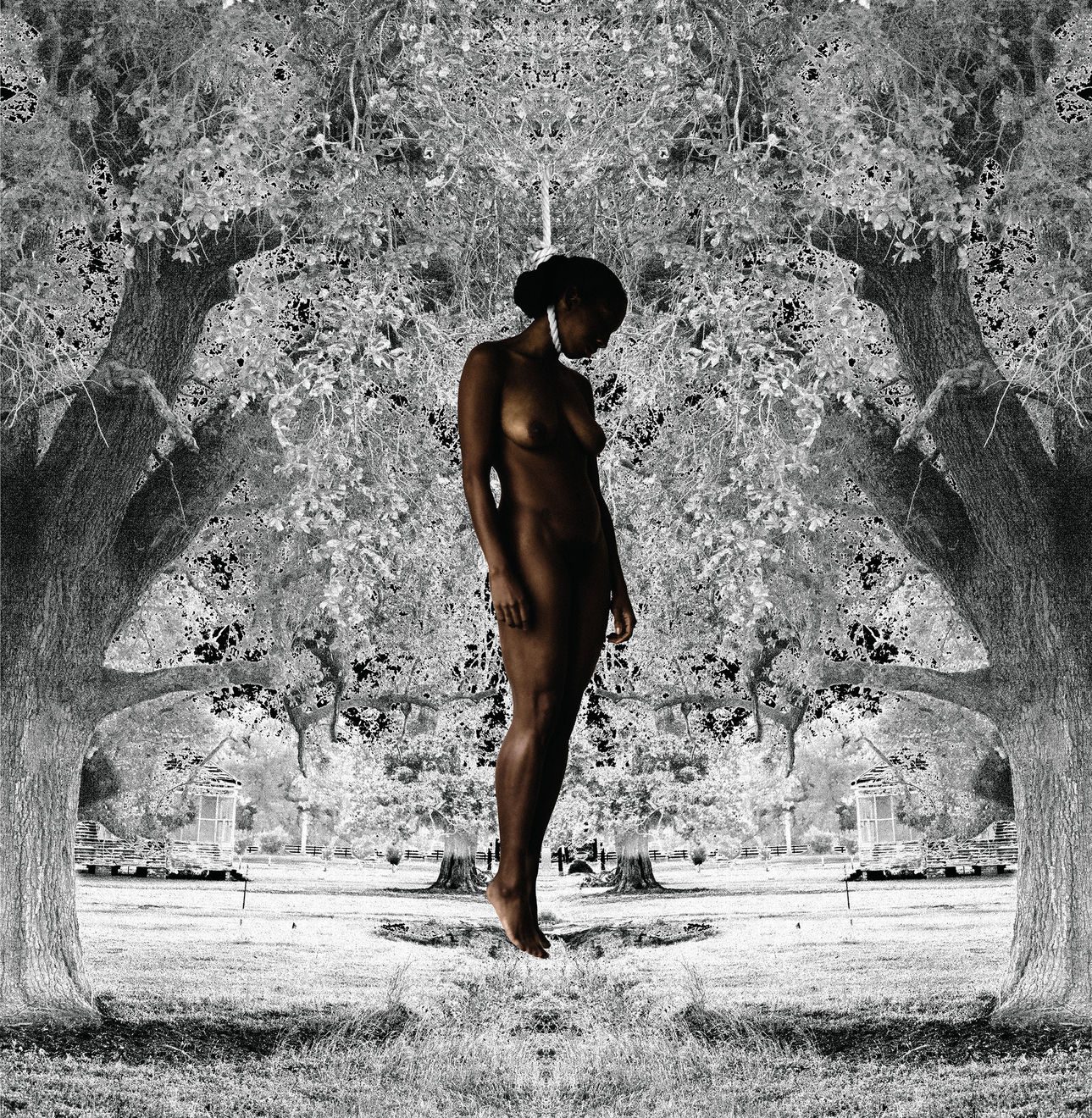 Ayana V. Jackson, Death, 2013