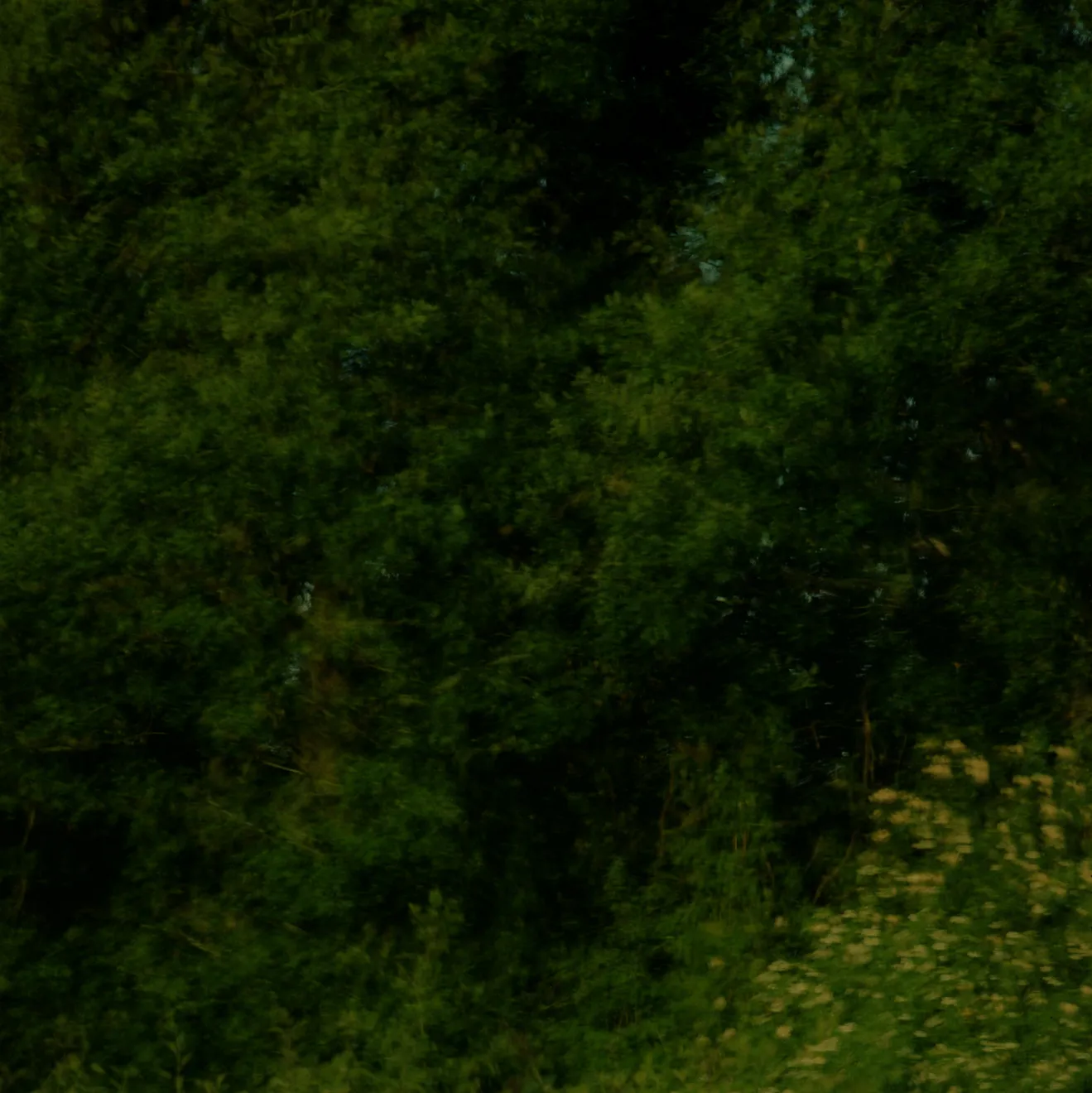 Mustapha Azeroual, Radiance #1, Untitled, V1-2, 2012