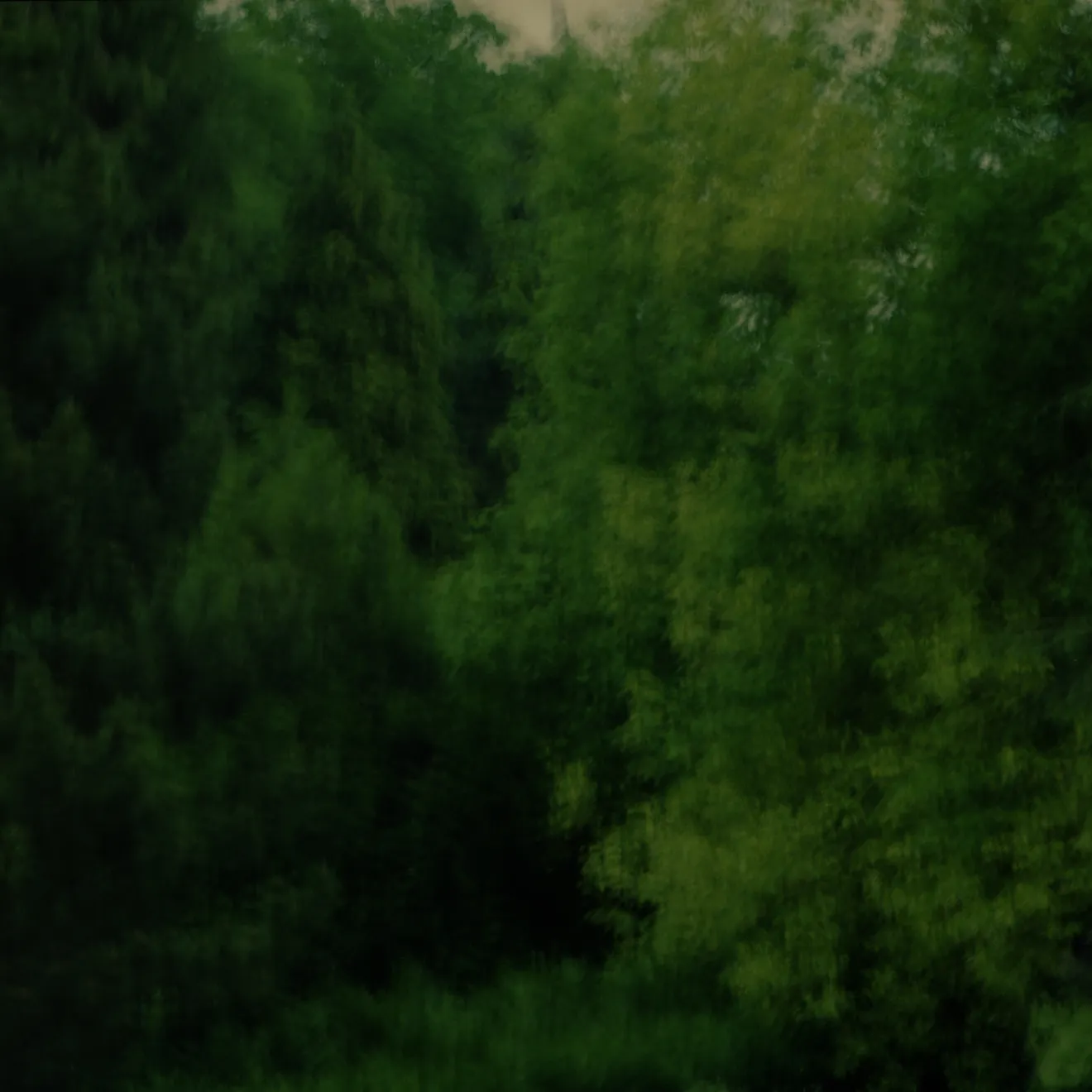 Mustapha Azeroual, Radiance #1, Untitled, V1-3, 2012