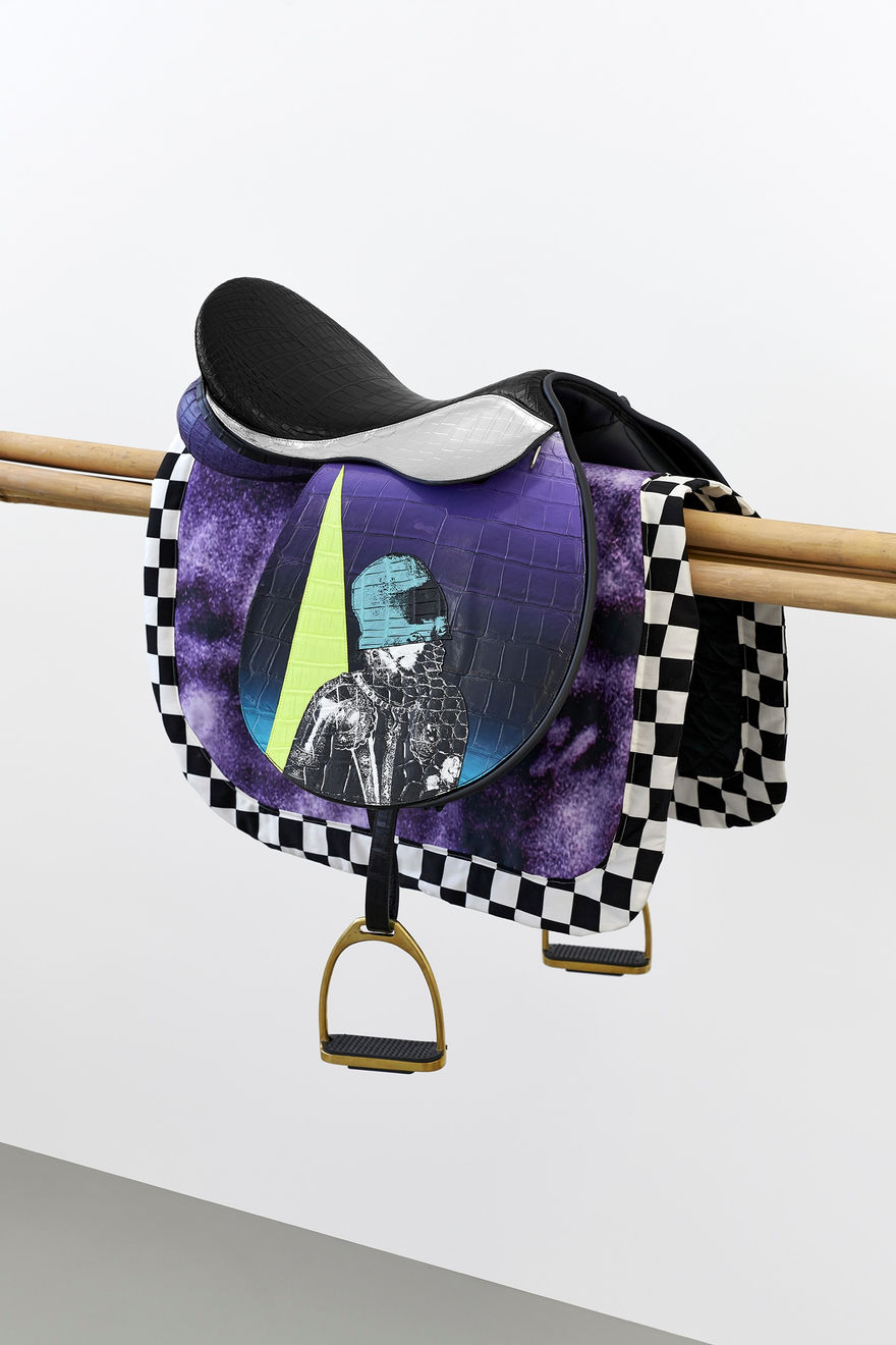 Raphaël Barontini, Pégase II, 2020