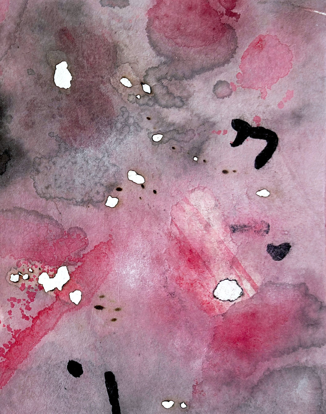 Chun Yin Rainbow Chan, Dawn Chorus, 2025