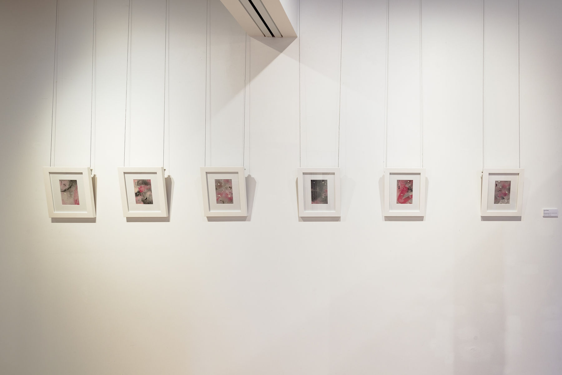 Chun Yin Rainbow Chan, Dawn Chorus 5, 2025