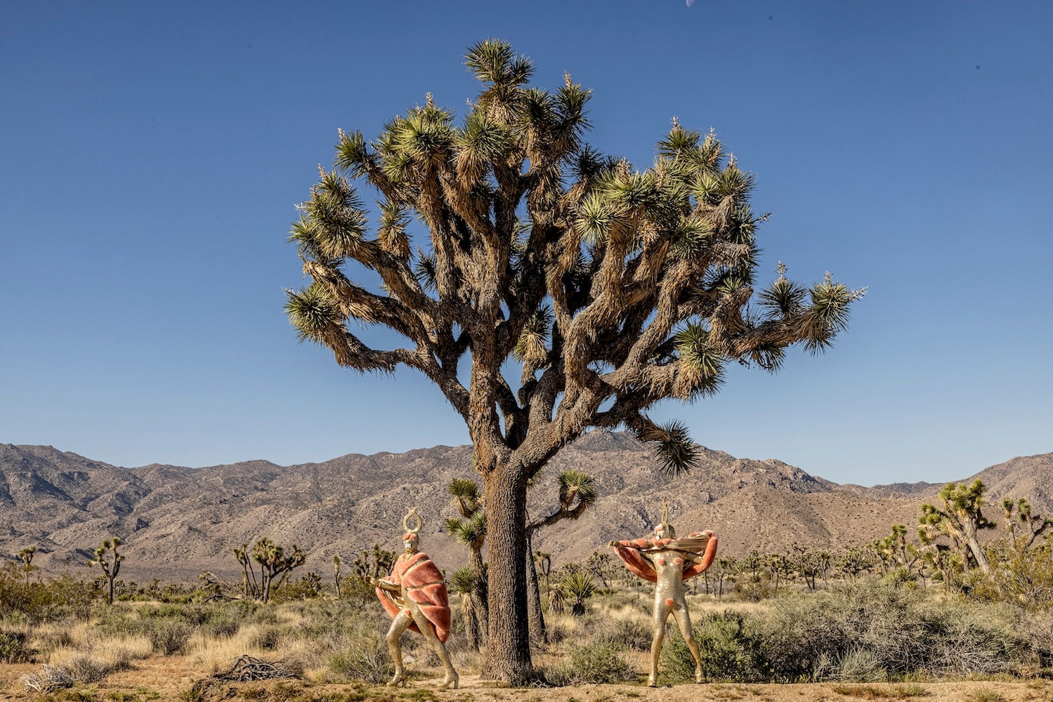 The Huxleys, Janitors of Lunacy, 2024