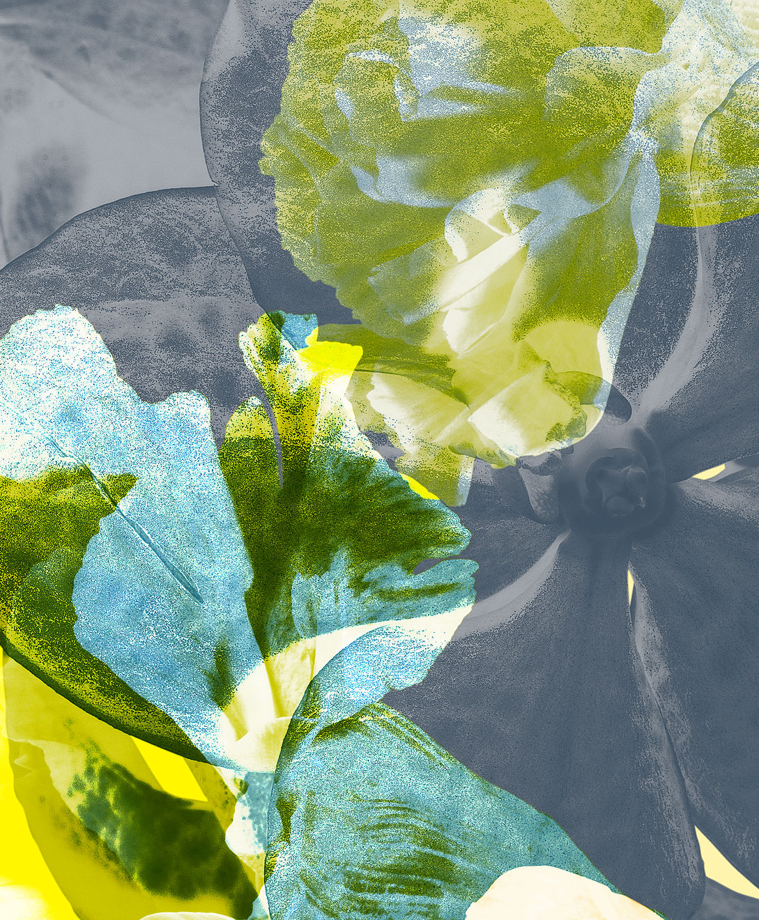 Mauren Brodbeck, Untitled 03, 2014