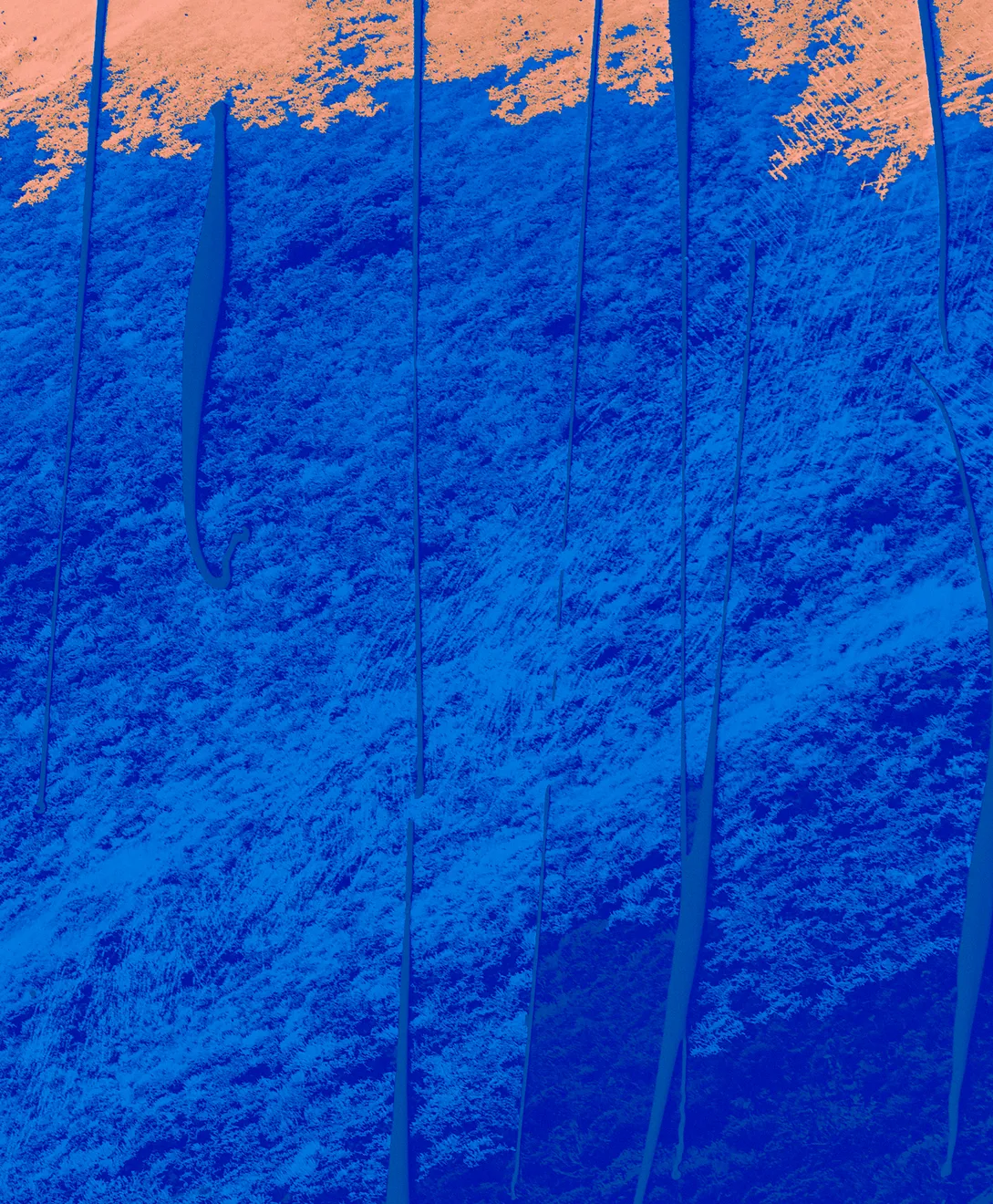 Mauren Brodbeck, Interplay 88, 2019