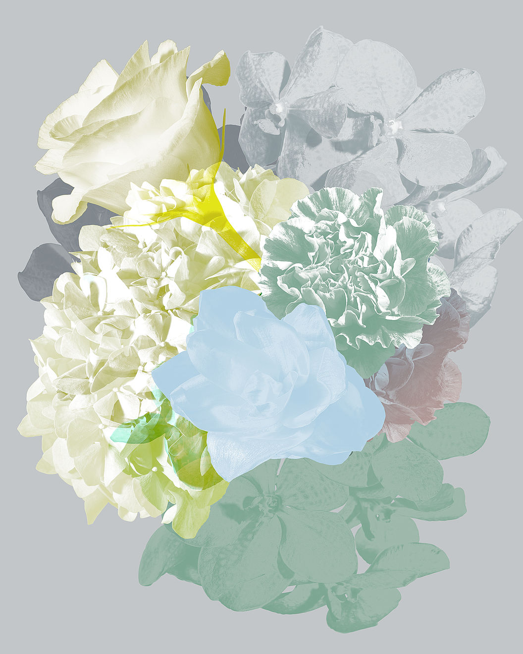 Mauren Brodbeck, Untitled 02, 2014