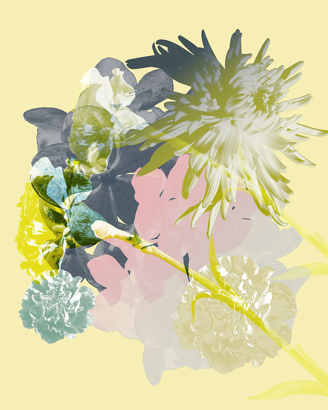 Mauren Brodbeck, Untitled 03, 2014