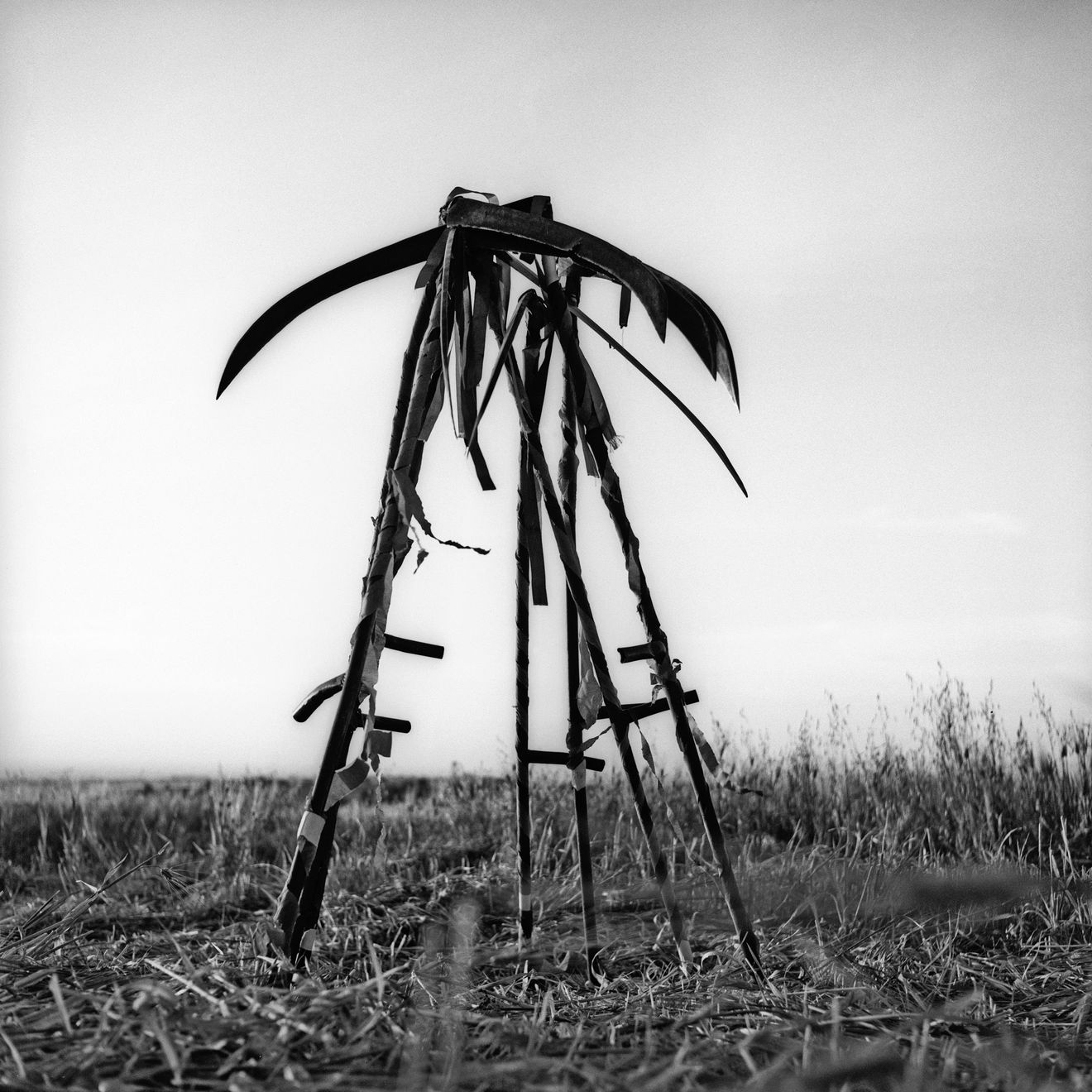 Micha Bar-Am, Omer - Harvest ceremony, Kibbutz Ramat Yohanan, 1958